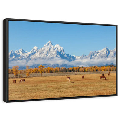 Grand Teton Autumn Scene
