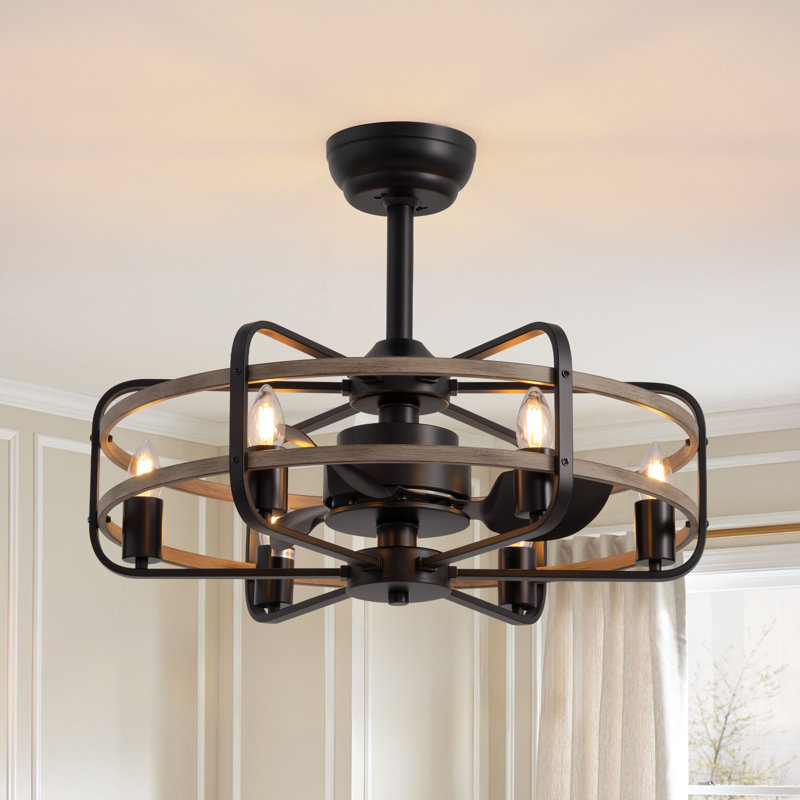 Cantin 24.8" Classic Black Caged Farmhouse Ceiling Fan With Light Kit and Remote Control, Gray Brown