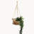 Jhuri Single Hanging Basket