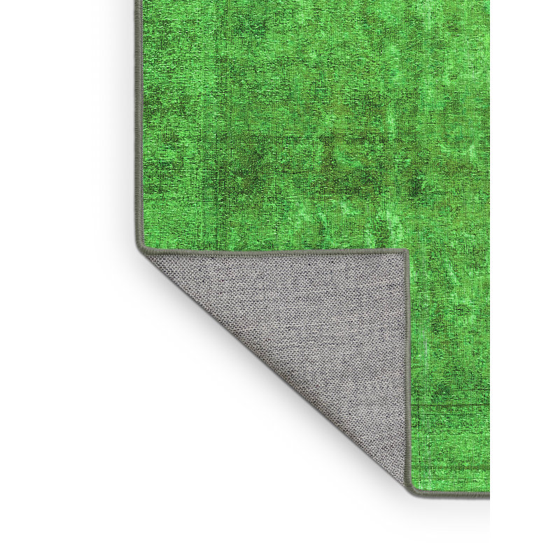 Eliezel Performance Oriental Indoor Rug, Rectangle 2' x 4'
