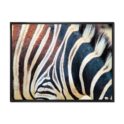 Détail des lignes de zèbre noir et blanc I - reproduction sur toile