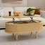 Table basse cannelée à plateau relevable avec compartiment caché, table centrale en bois, plateau de table ovale moderne pour bureau de salon à domicile-388408654