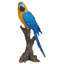 Statue de perroquet sur branche-1624689208