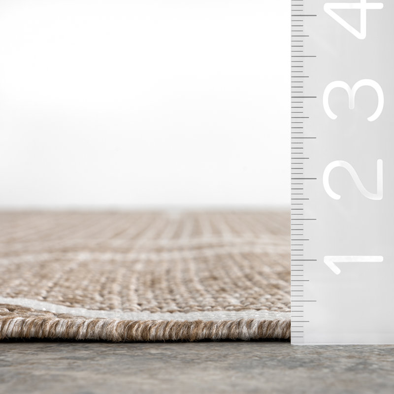 Bradan Geometric Indoor/Outdoor Area Rug, Rectangle 4' x 6'