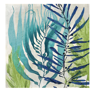 Sea Nature I by Melonie Miller - Wrapped Canvas Print