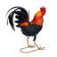 Metal Colourful Rooster Decor
