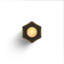 Wink Lantern-64076257-64076258