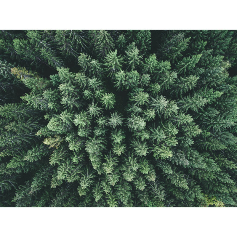 Wrapped Canvas Print, 50.8 cm H x 76.2 cm W