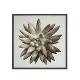 Gold Succulent A Print
