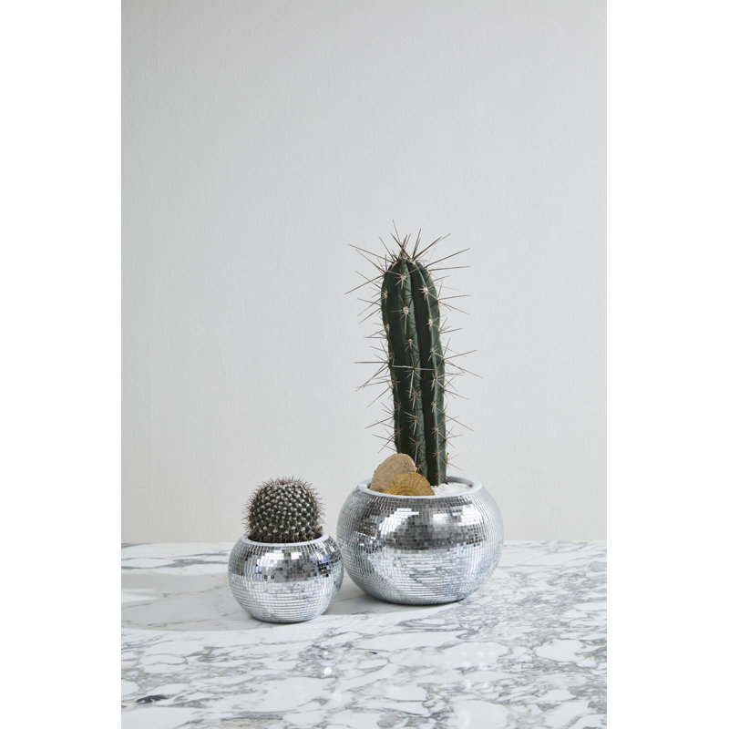 Braeden Disco Pot, 6.5"x 4.75"