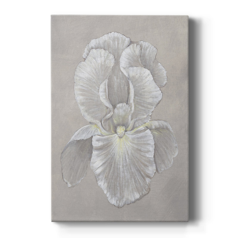 Iris blanc II - galerie Cavas sur mesure, H 36 po x l 24 po