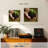 Senne New Seedling Sprouting-109215258