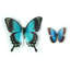 Embellissements papillons bleus