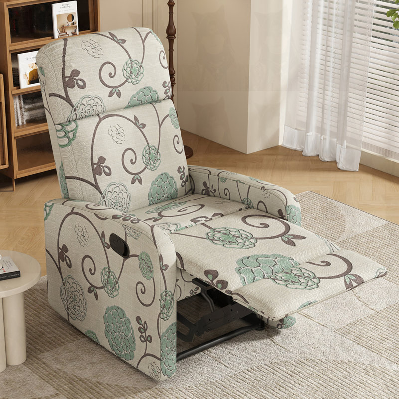 Cinéma maison Modern Recliner
