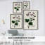 AntiqueFloralFolioIX, reproduction encadrée - bois massif-1285044608
