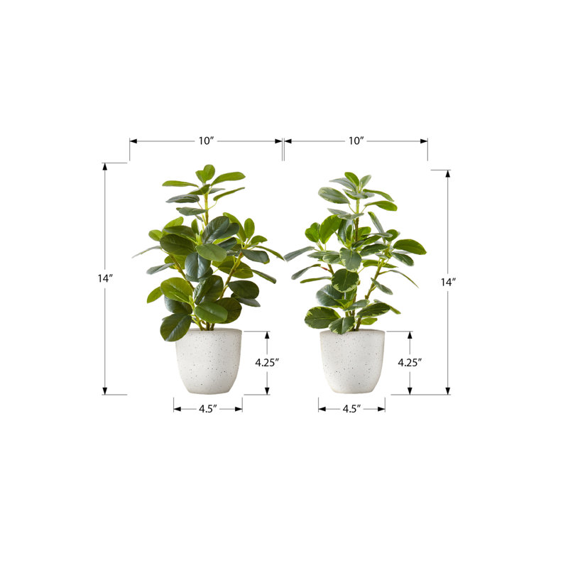 14 pouces de hauteur de 2 fausse verdure d'intérieur avec pots blancs et motif 14 po pour table élégante en pot