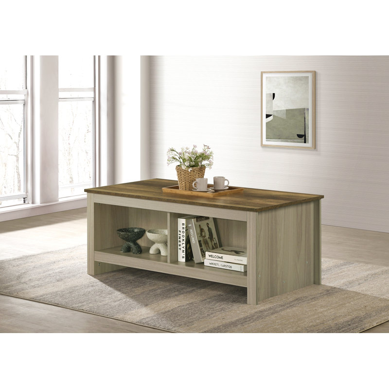 Table basse en chêne gris de 43 po Nyla avec tablettes ouvertes à l'avant et à l'arrière