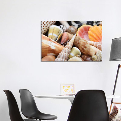 Tropical Shell Still-Life by Savanah Plank - Floater Frame Rectangle Print on Canvas