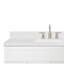Ensemble de meuble-lavabo simple autoportant 48 po avec plateau en quartz Hamlet-94003771