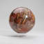 Large Genuine Polished Petrified Wood Sphere From Madagascar (6.75", 15.4 Lbs)