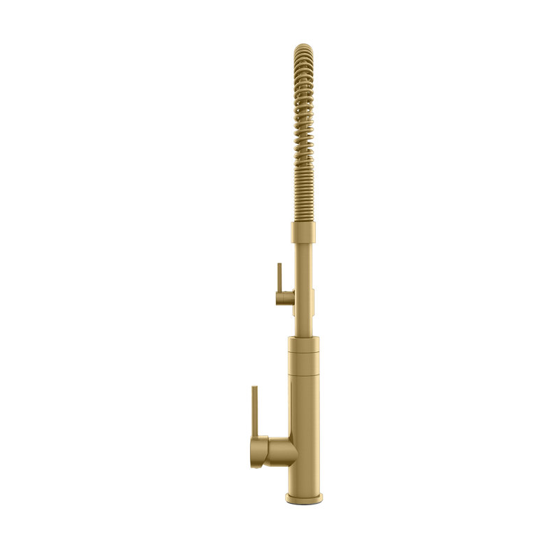 Vetta Pull Out Kitchen Faucet, Gold