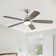 Sofucor 52" 5-Blades Standard Ceiling Fan with LED Lights and Remote Control-Nova