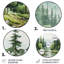 Tranquil Forests Landsacpe I - Landscapes Round Metal Art-2026106369