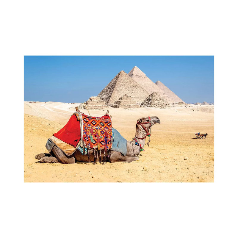 Camel Resting By The Pyramids, Giza, Egypt by Richard Silver - Wrapped Canvas Print, 66.04 cm H x 45.72 cm W x 1.91 cm D