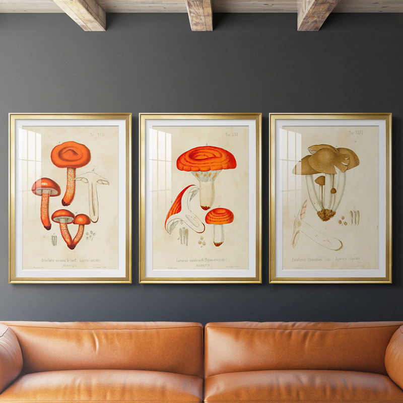 Champignon Variétés IV - Impression sur mesure encadrée de qualité supérieure - 3 pièces, H 21 po x l 30 po, Doré