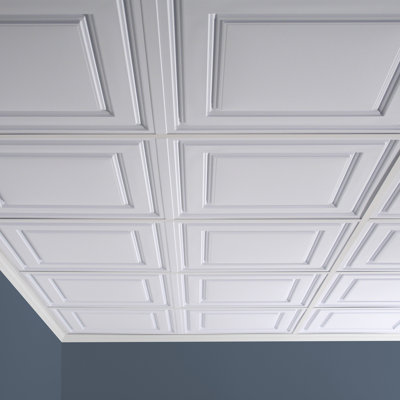 48'' L x 24'' W PVC Drop-In Ceiling Tile