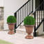 Planter-720768297