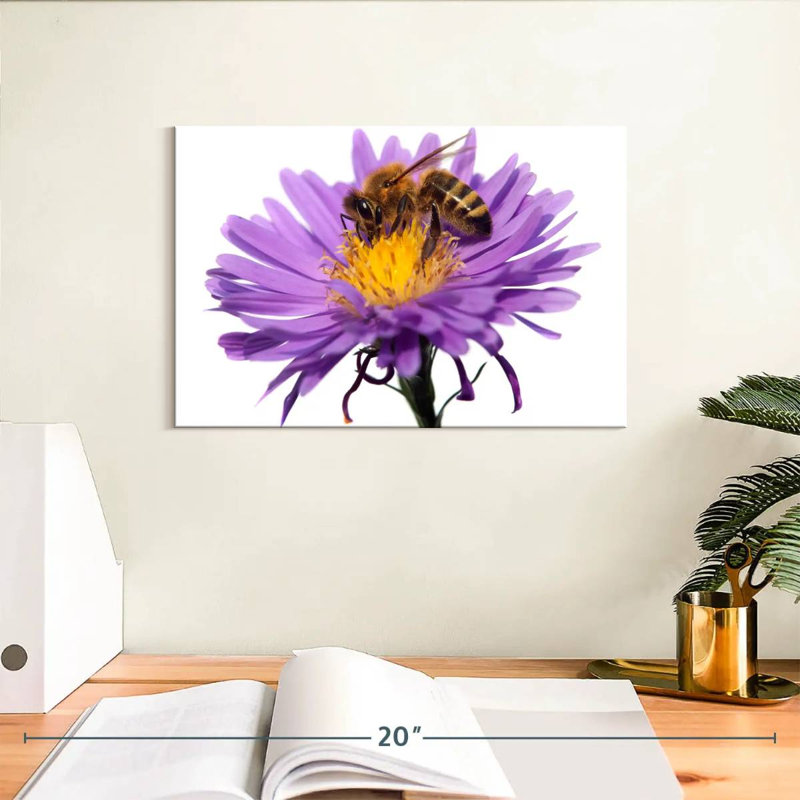 Abeille à miel qui suce le nectar, H 8 po x l 12 po