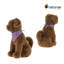 Turf Topiary 19" Sitting Dog Brown