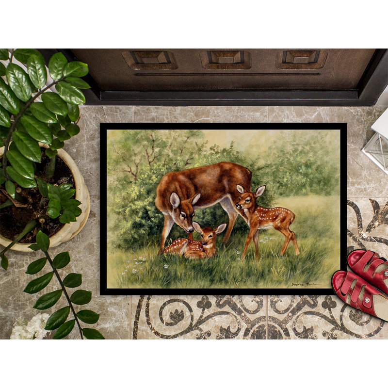 Victorville Non-Slip Outdoor Doormat, Rectangle 2' x 3'