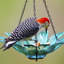 Mangeoire à oiseaux en verre recyclé Daisy-16423226