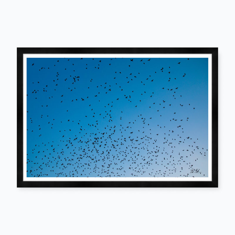 Murmur Ii Print by Tim Klein