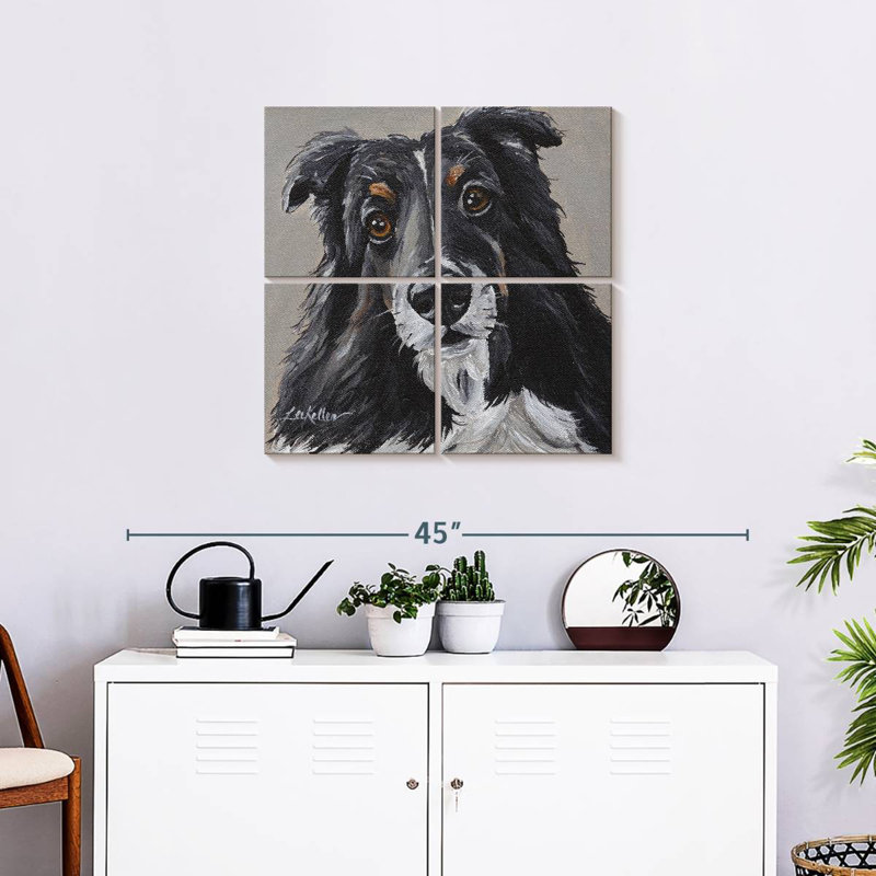 Sheltie de Brampt sur fond gris, H 26 po x l 26 po