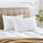 Polyester Pillow - Sleep by Wayfair™-696098367-733058122