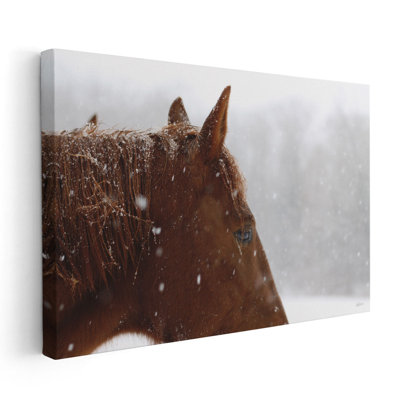 Snowy Caleb - reproduction d'art sur toile