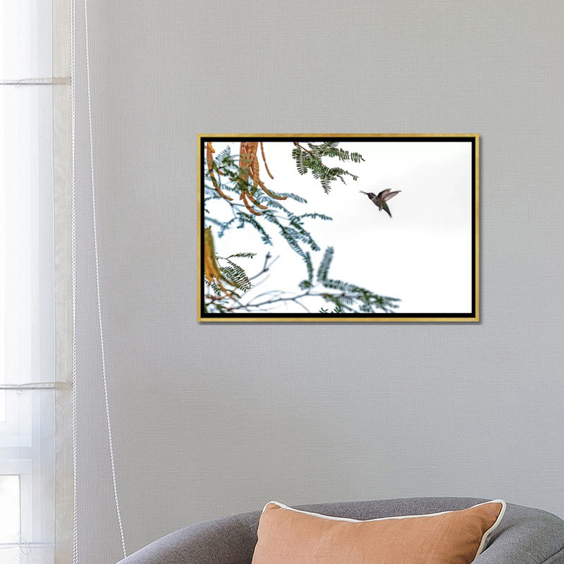 Colibri en vol isolé sur un ciel blanc par Susan Schmitz - impression d'art graphique, H 18 po x l 26 po x P 1,5 po