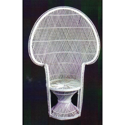 Rownan Wicker Outdoor Lounge Chair