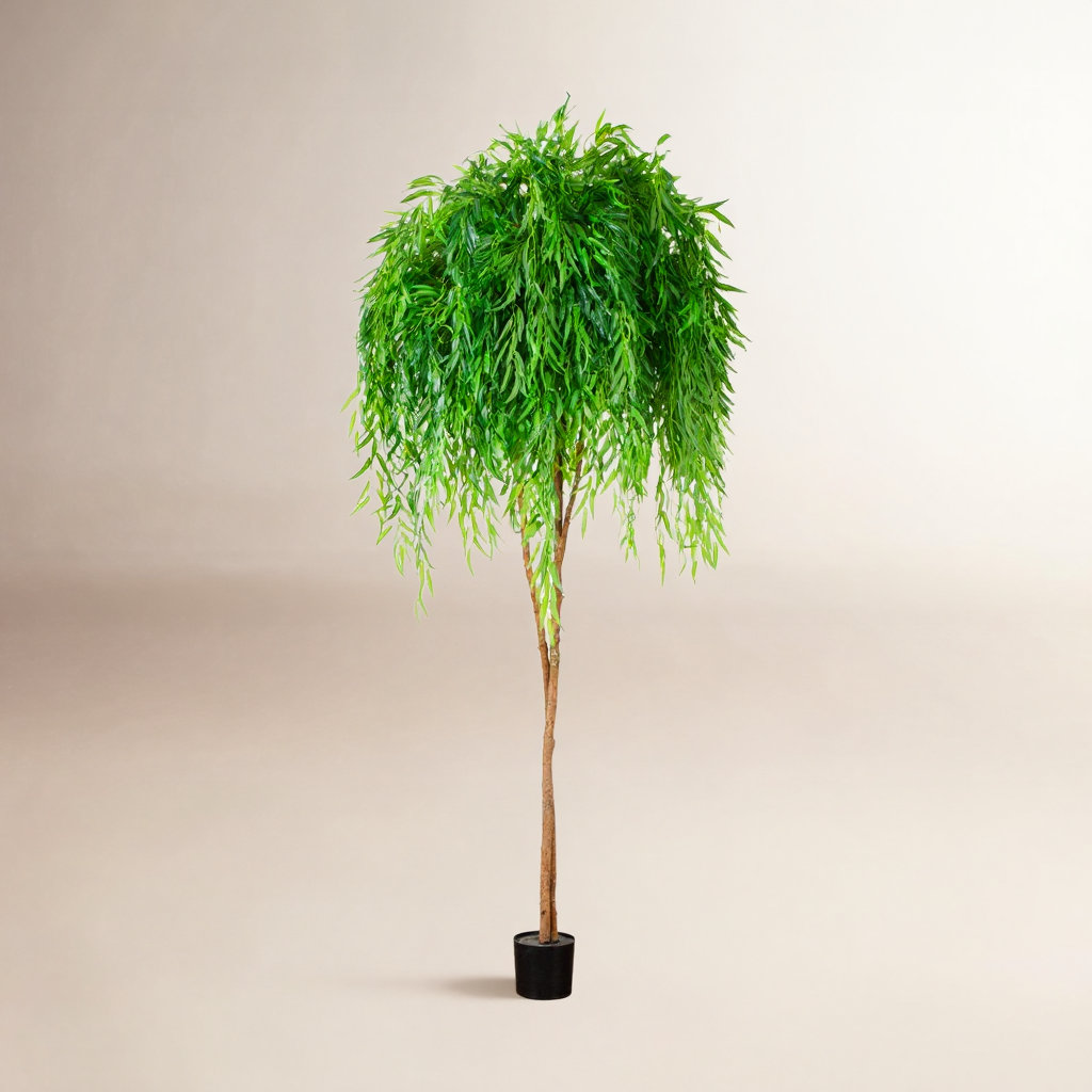 Willow Tree in Nursery Pot, 108" H x 42" W x 42" D