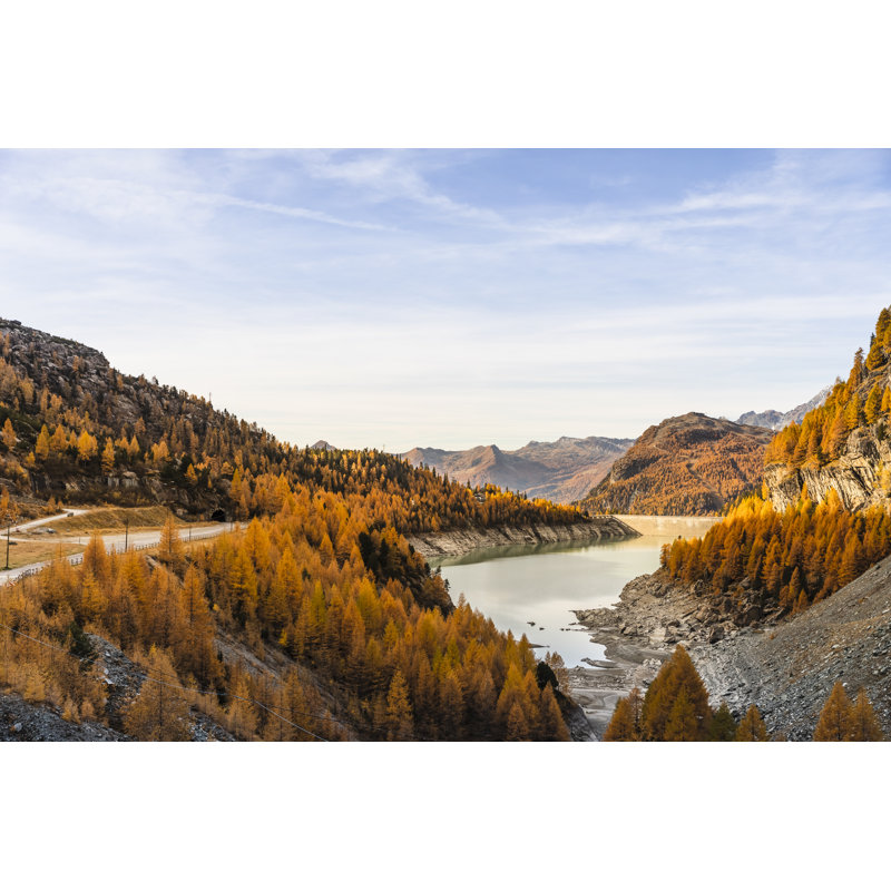 Forêt d'automne par Deimagine, H 8 po x l 12 po