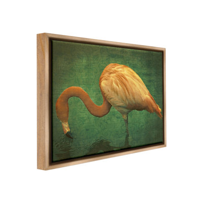 «Dark Flamingo In Pond» sur