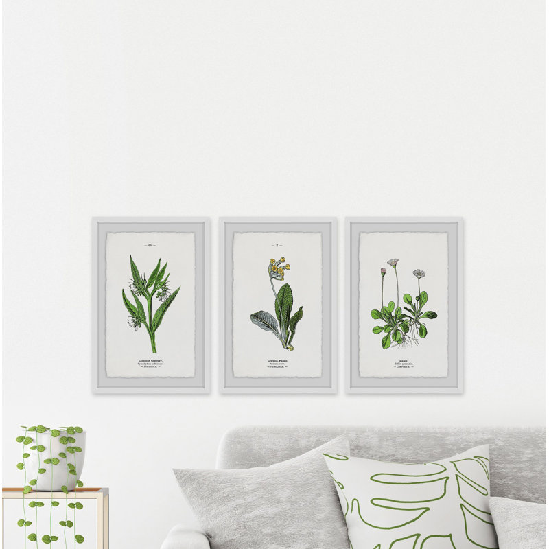 «Pulsatilla Flowers Triptych», ensemble de 3 reproductions d'art encadrées, H 36 po x l 24 po x L 1,5 po