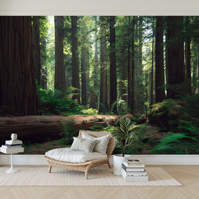 Peel and Stick Wallpaper 96" W x 69" H Modern Self Adhesive Wall Mural for Bedroom Redwood forest Landscape Scenery Natural Tree