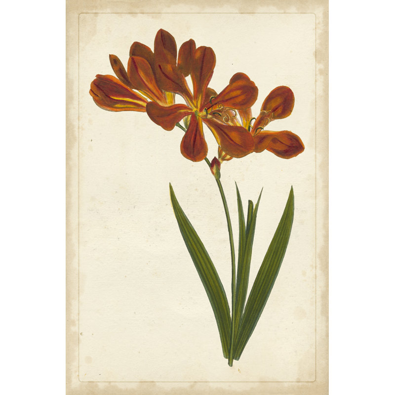 Vibrant Botanicals VI - Wrapped Canvas Print, 46cm H x 30cm W x 3.8cm D