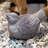 Grossmann Animals Figurines & Sculptures