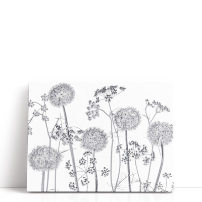 Meadow Flowers On White - Canvas Print Wall Art