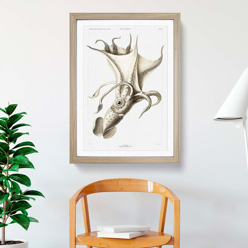 Cockeyed Squid by Carl Chun - Picture Frame Painting, 65cm H x 48cm W x 2cm D, Oak Framed